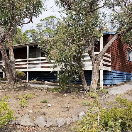 Nod Off On Noble Villa Anglesea Exterior photo